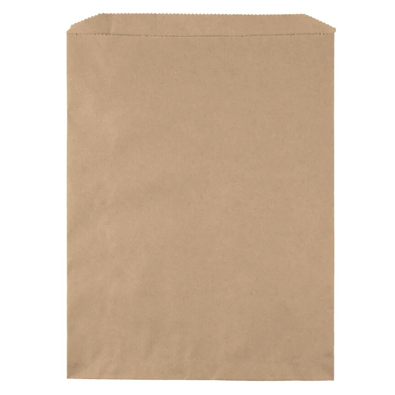 Merchandise Bag - Flexo Ink Print (10" x 13") view 2