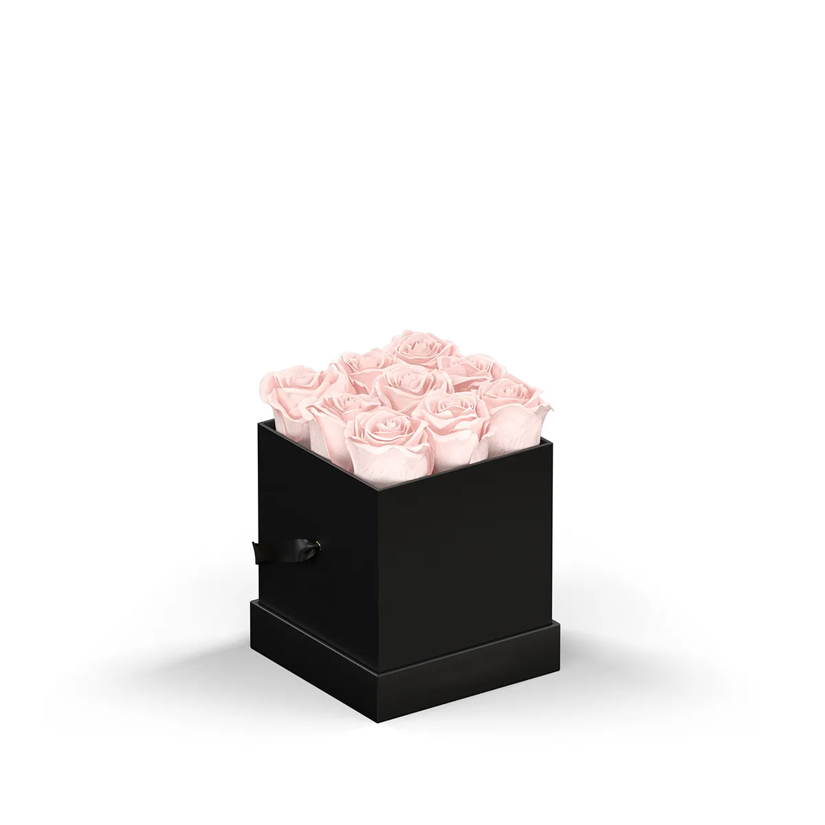 93923 BLKBOX BLUSH