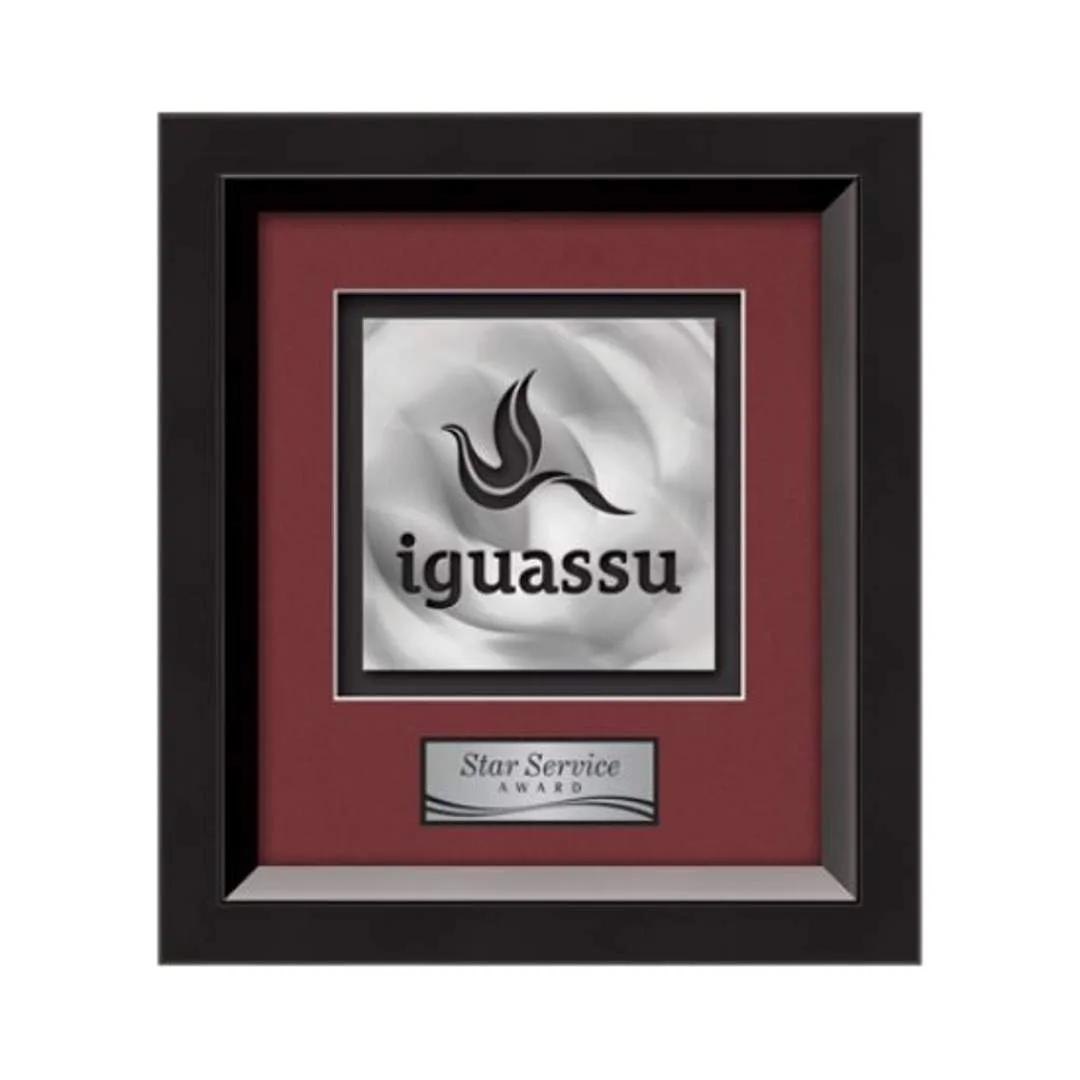 Omni Aquashape™ Award - Black/Black