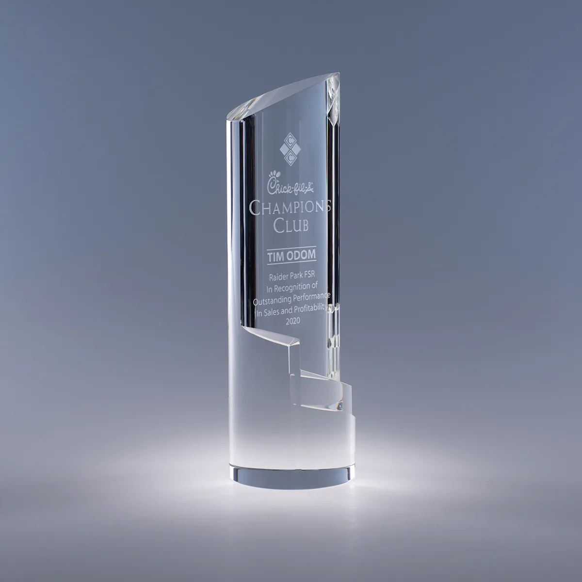9.5" Trek Crystal Award view 2