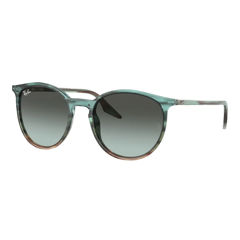 Ray-Ban RB2204 Sunglasses