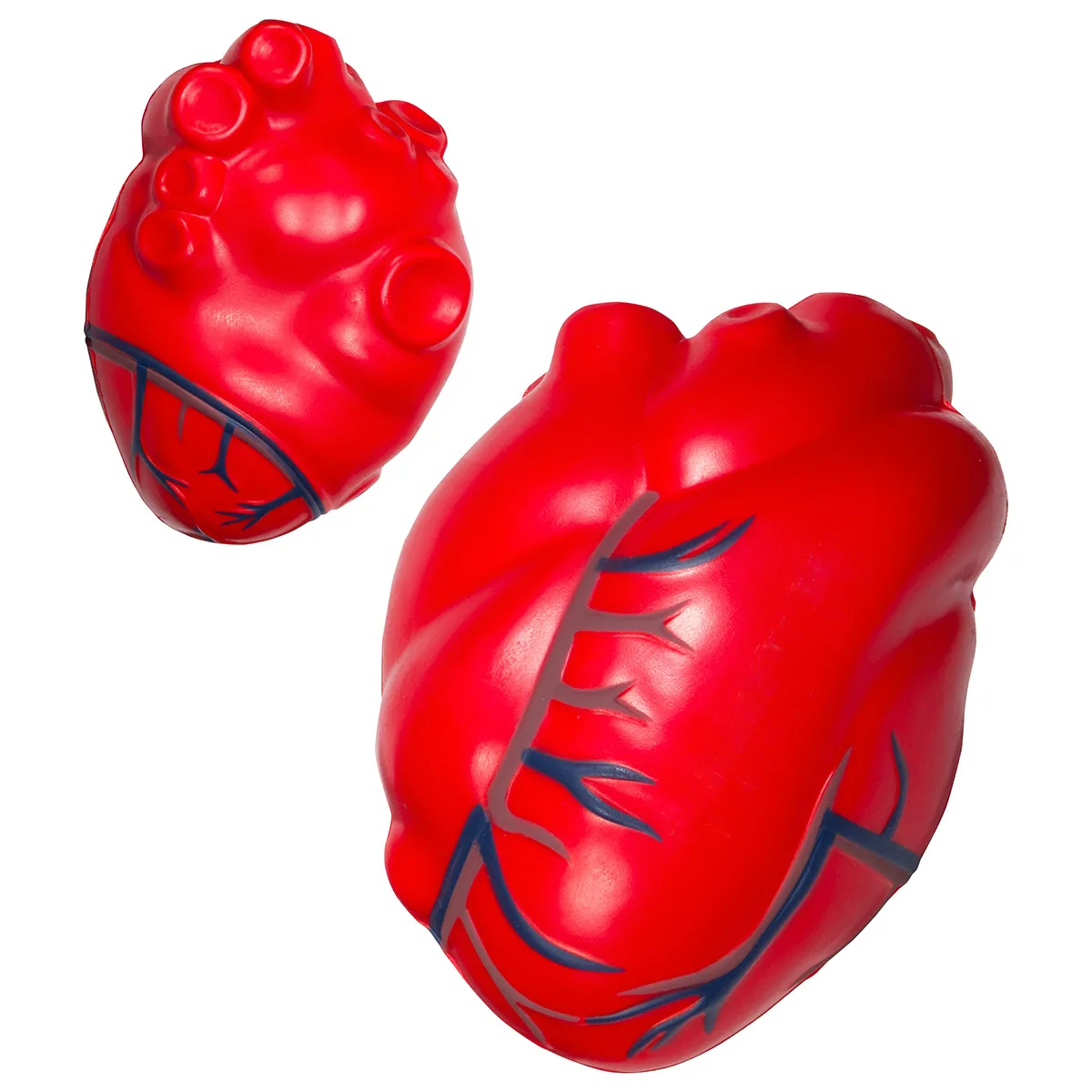 Heart with Blue Veins Stress Reliever view 2