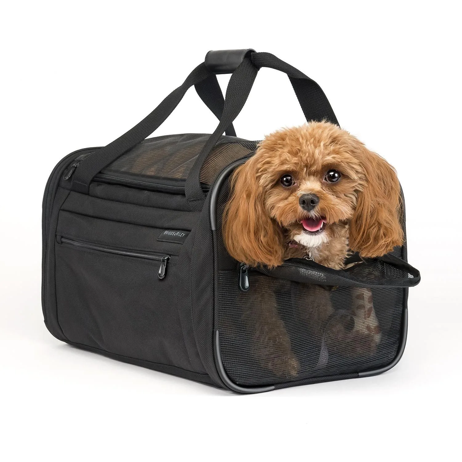 Briggs & Riley™ Baseline Black Deluxe Pet Carrier