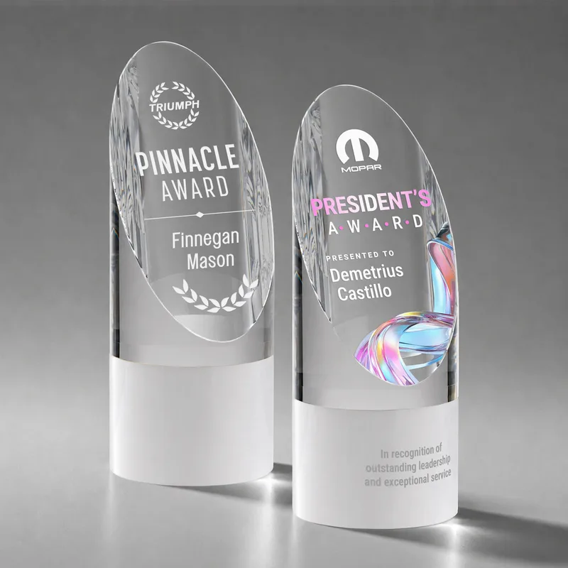 Faccini Award