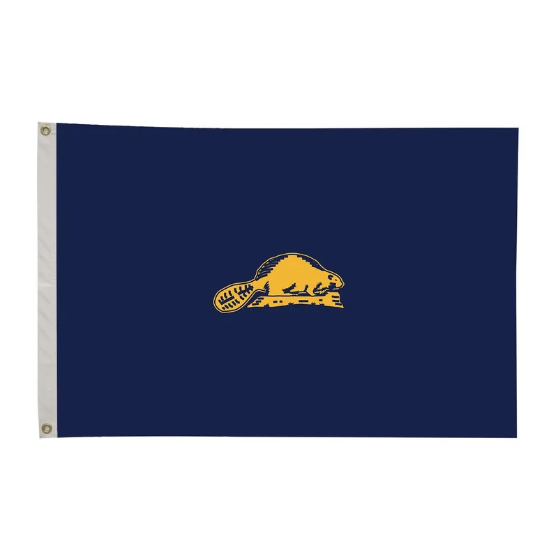 2' x 3' Oregon State Flag Double-Sided view 3