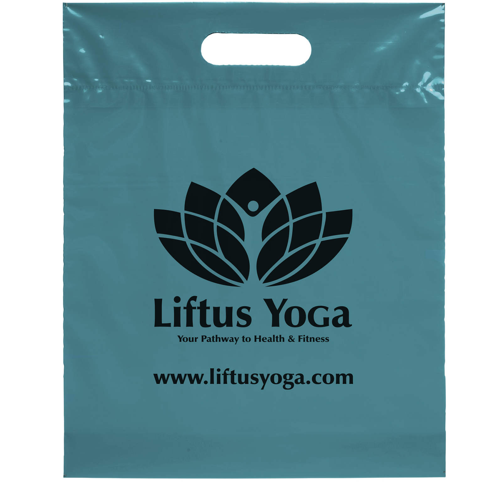 Die Cut Handle Bag - Flexo Ink Print (12" x 15" x 3")