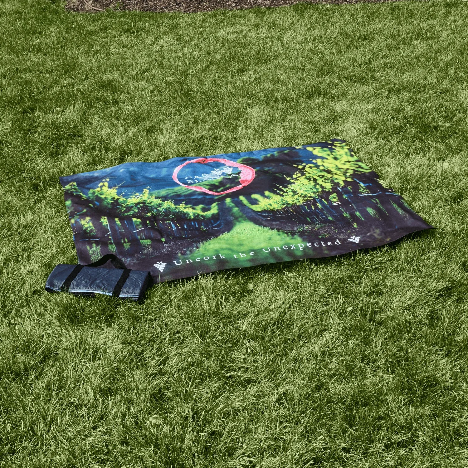 EPICOLOR Tek Explorer Blanket - 45" x 58"