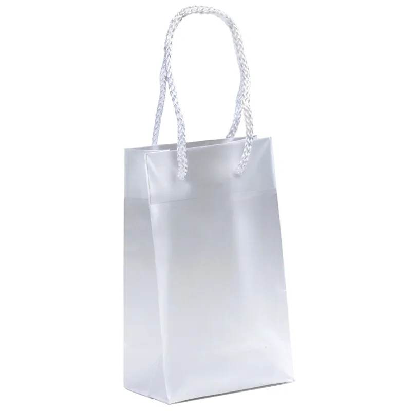 Aries - Frosted Eurotote - Foil Print (5" x 3" x 8") view 2
