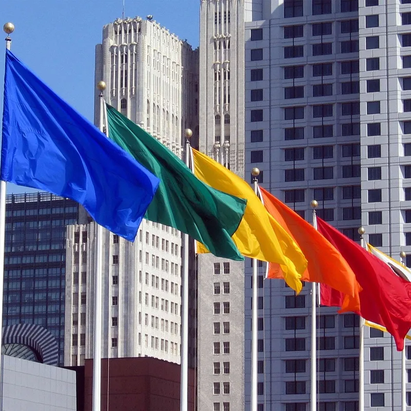 2' x 3' Solid-Color Nylon Flag view 4