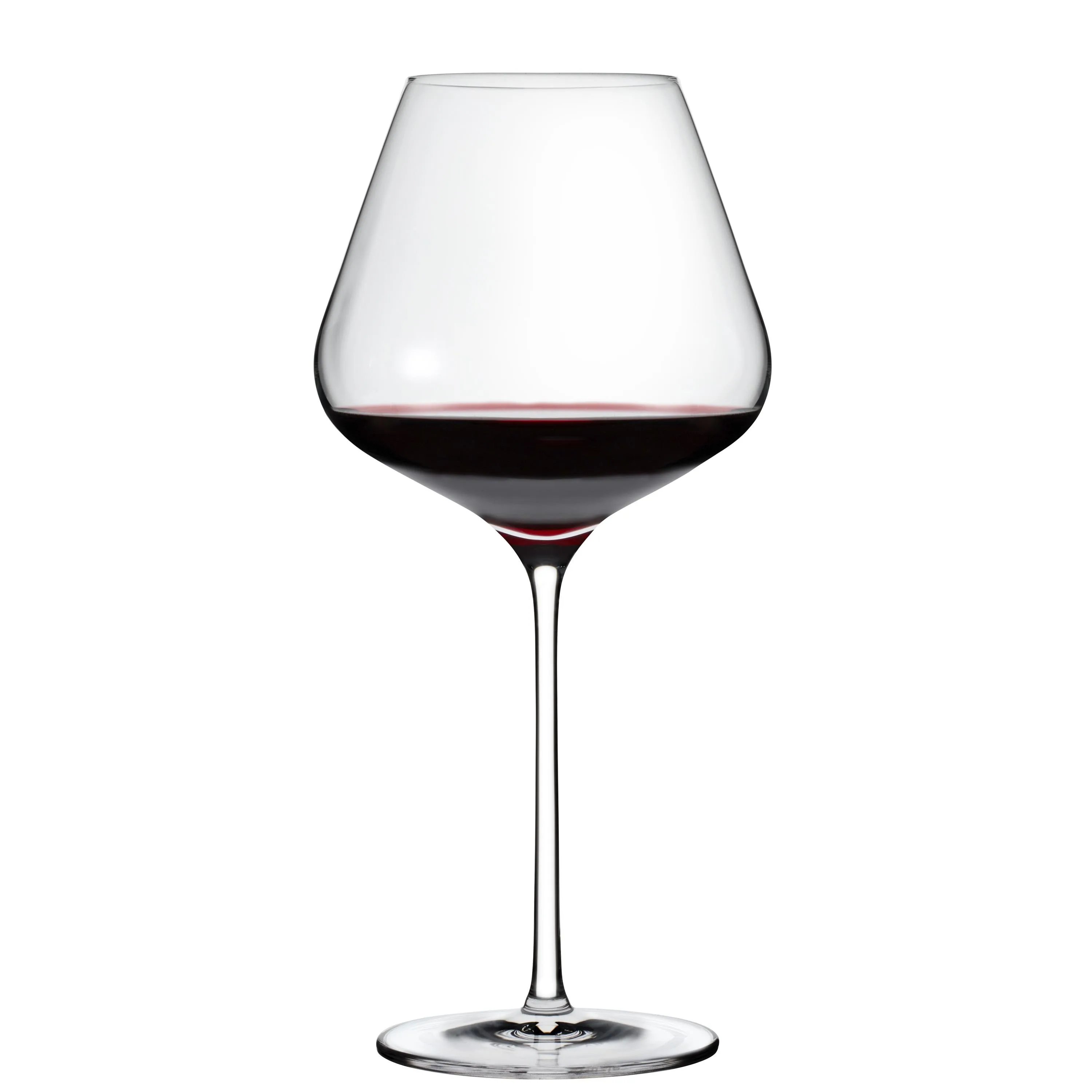 Wine Enthusiast Wine Enthusiast Vienna Break-Resistant Universal Wine Glass