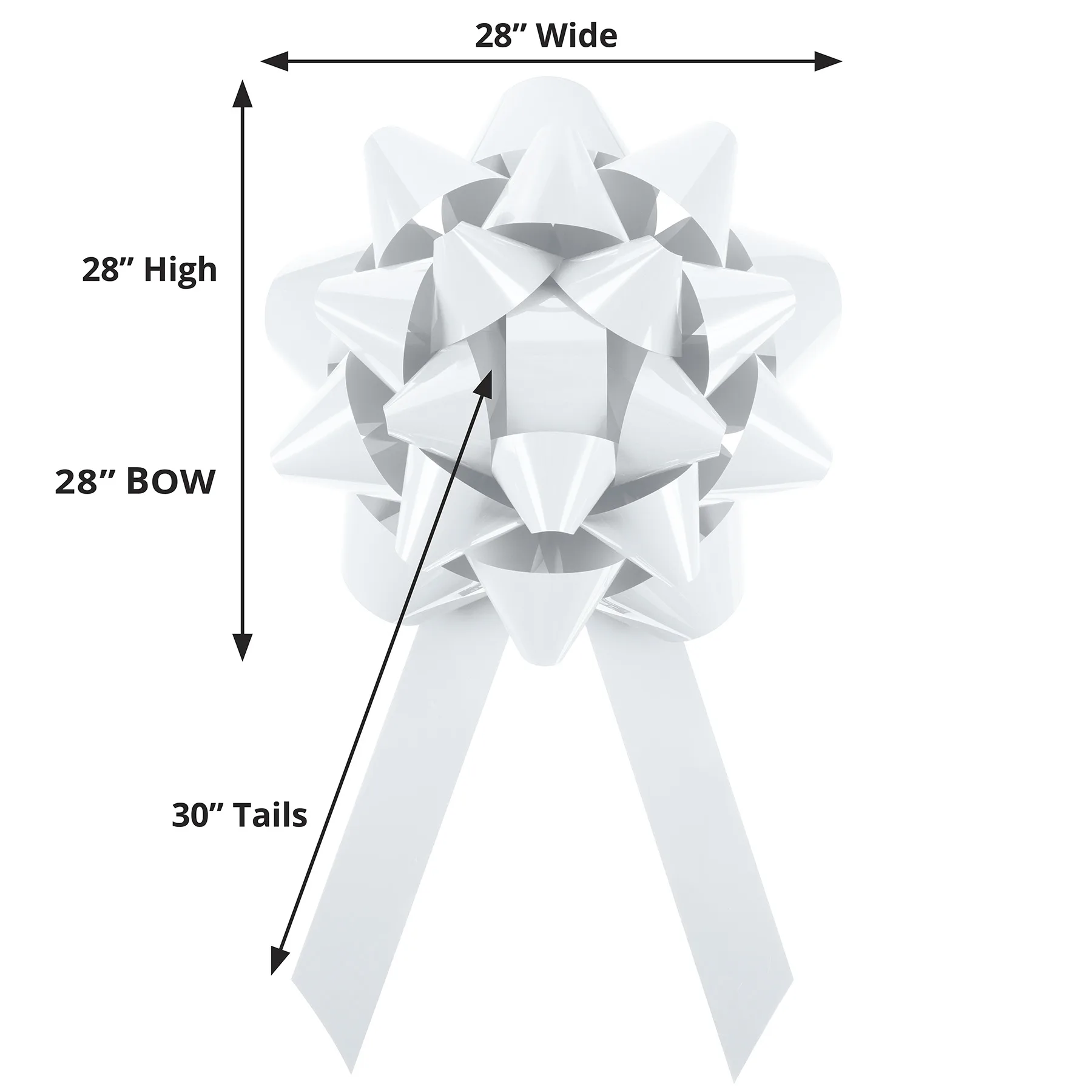 White Blank Dimensions View
