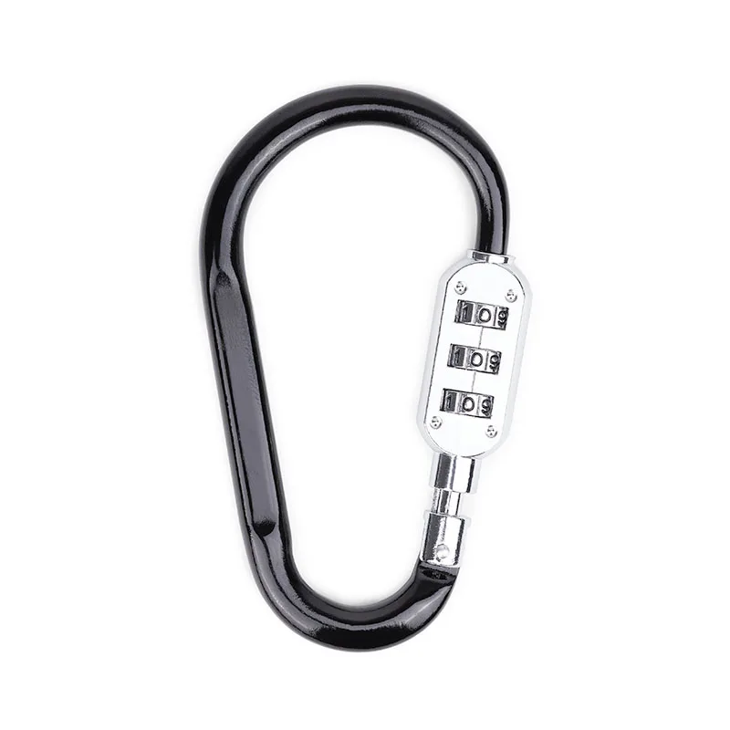 SecureLink Large Carabiner Keychain view 2