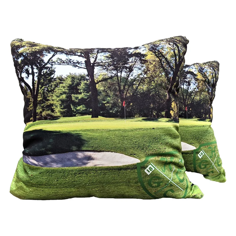 Medium Full Color Throw Pillow view 2