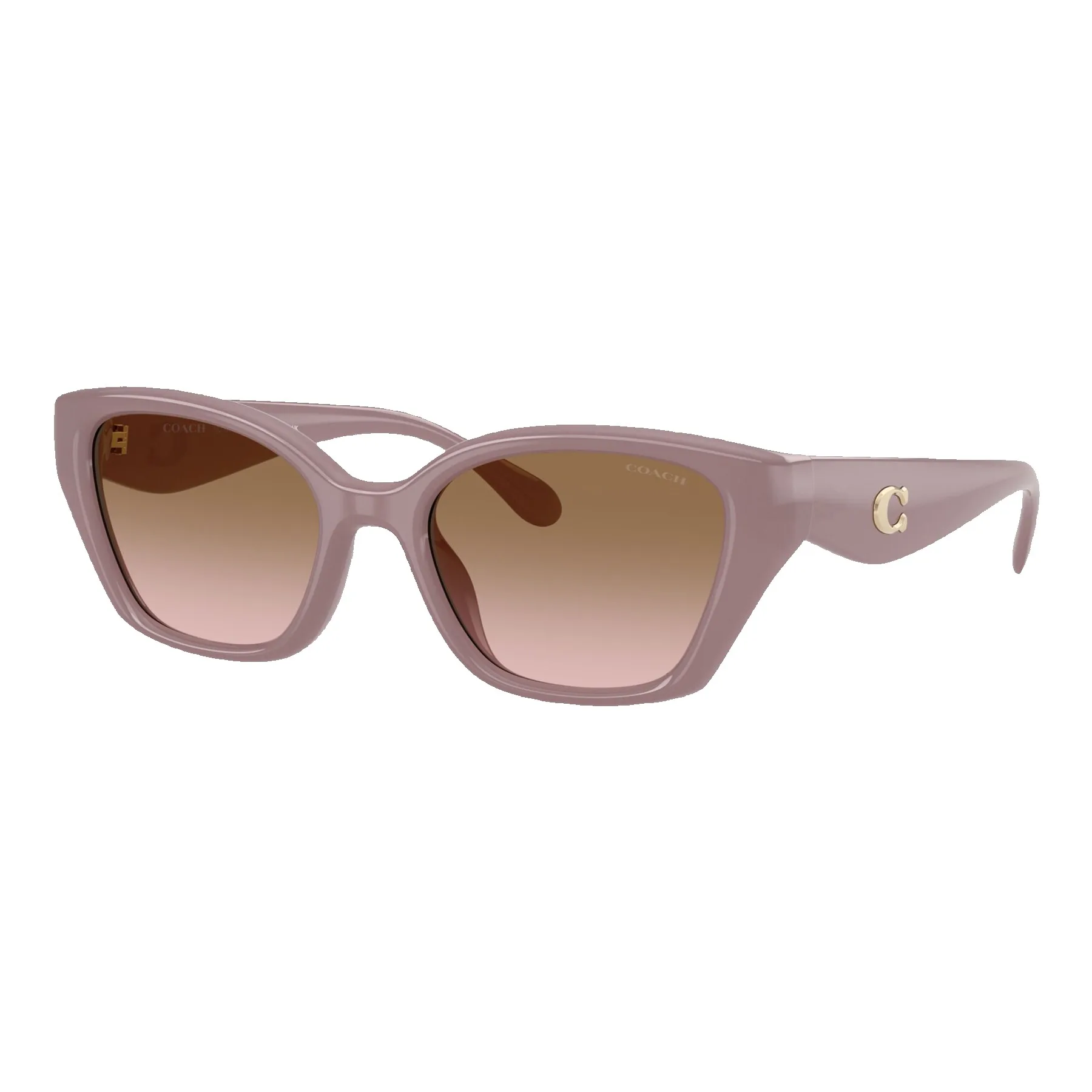 Coach Women's C Hardware Square Cat Eye Sunglasses