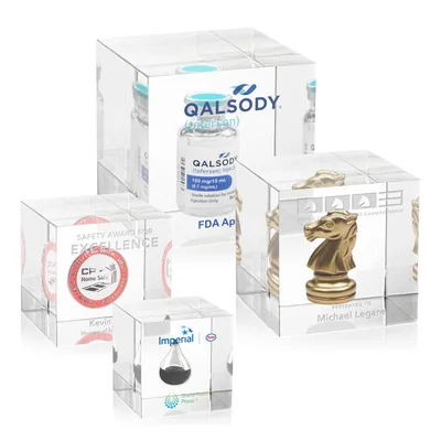 Clear Lucite cubes with a medicine vial, a gold chess knight, a badge and a drop embedded inside