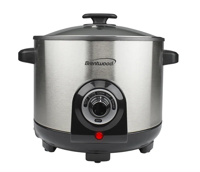 5 Quart Deep Fryer