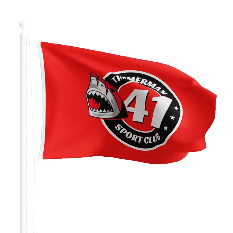 Large Flag Full Color (2' x 3') view 2