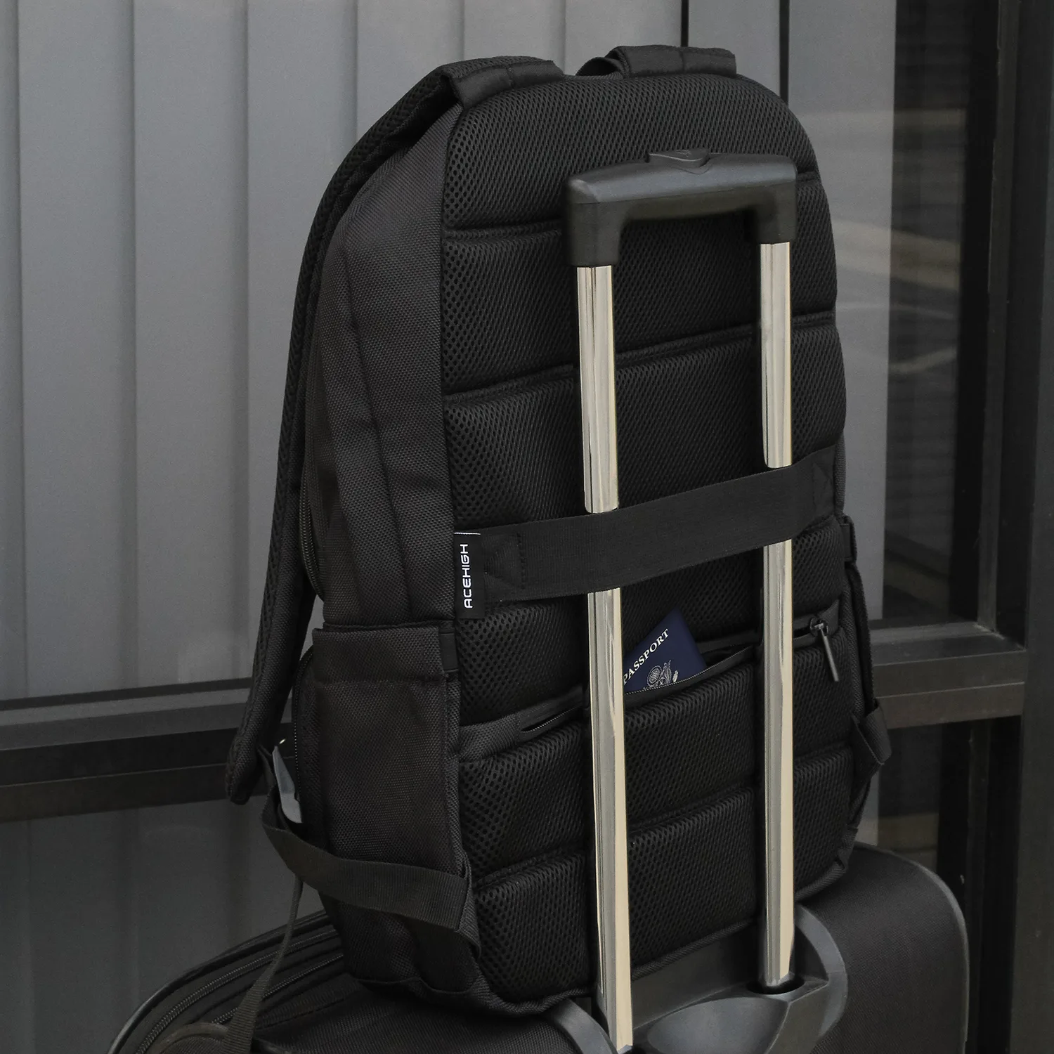 Back View