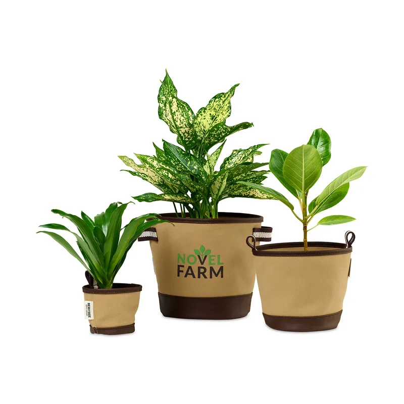 Heritage Supply™ Plant, Grow and Store Trio of Pots - Dune