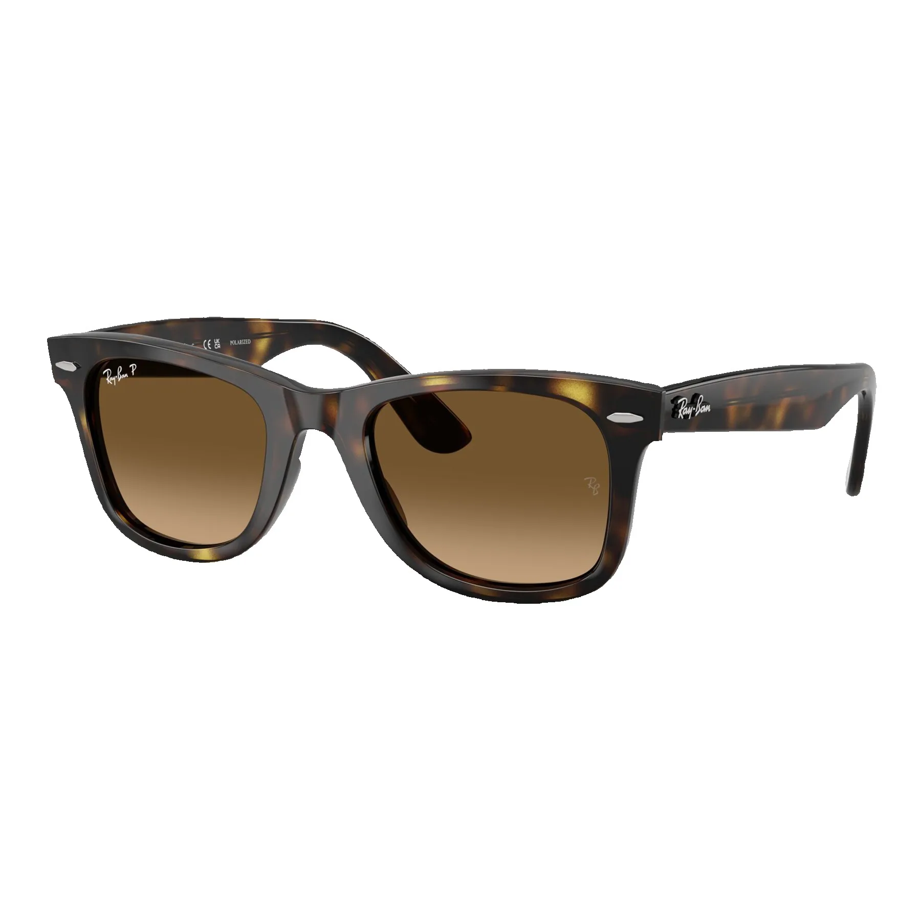 Ray-Ban Polarized Wayfarer Ease Sunglasses