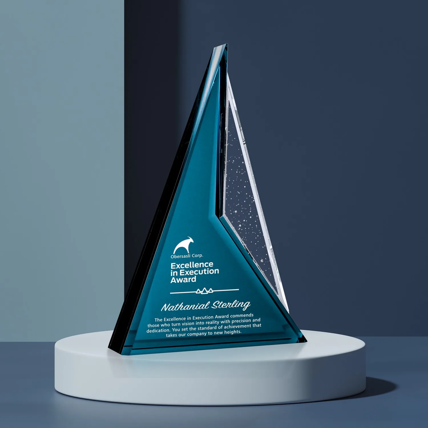 Endurance Award 8-1/2"