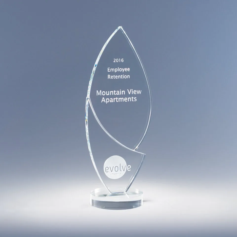 10.5" Enlighten Crystal Award