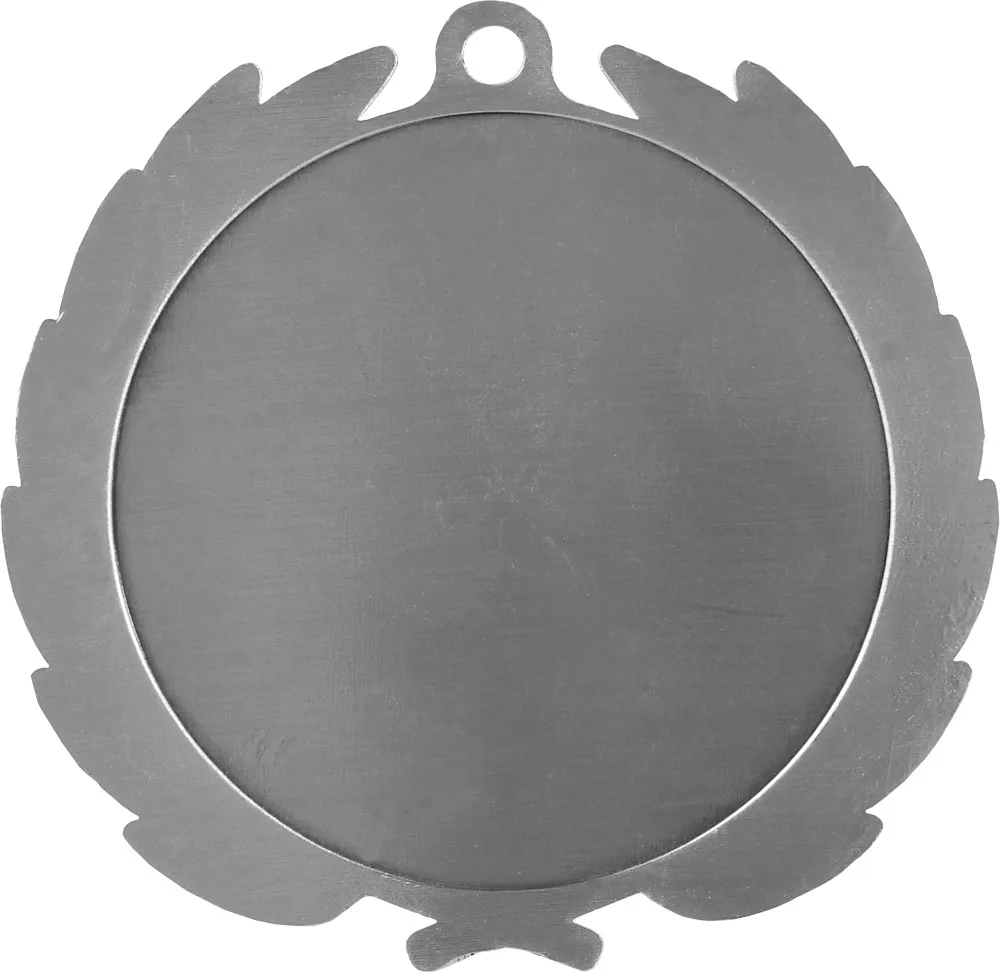 Silver Blank Back View