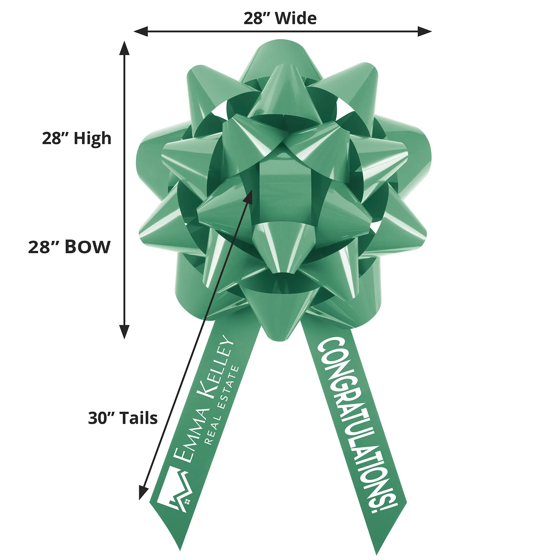 Green Logo Dimensions View