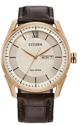 Citizen® Men's Classic Eco-Drive® Watch w/Brown Leather Strap & Ivory Dial