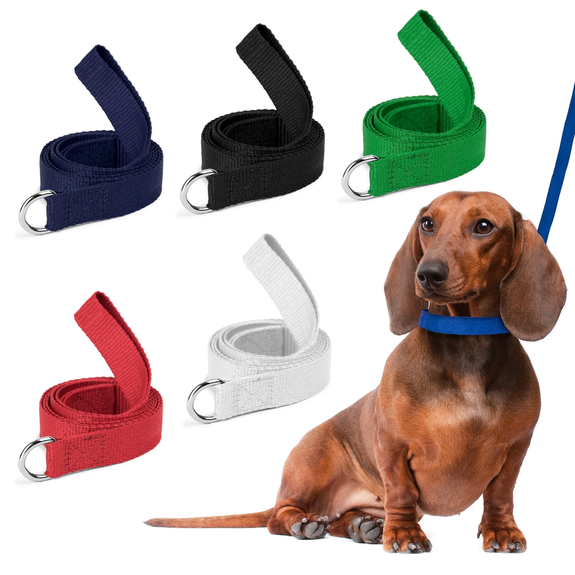 Dog Leash (QuickShip) 5-6 Weeks view 2