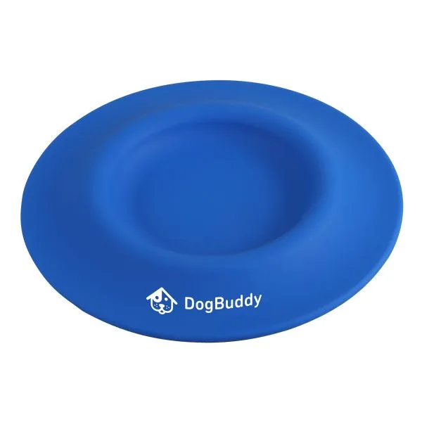 Blue Logo Front View