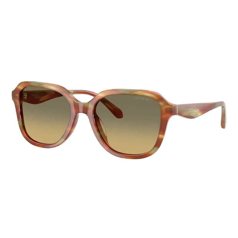 Coach Women's Oval Square Sunglasses