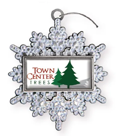 Express Snowflake Holiday Ornament (Domestically Produced) view 2