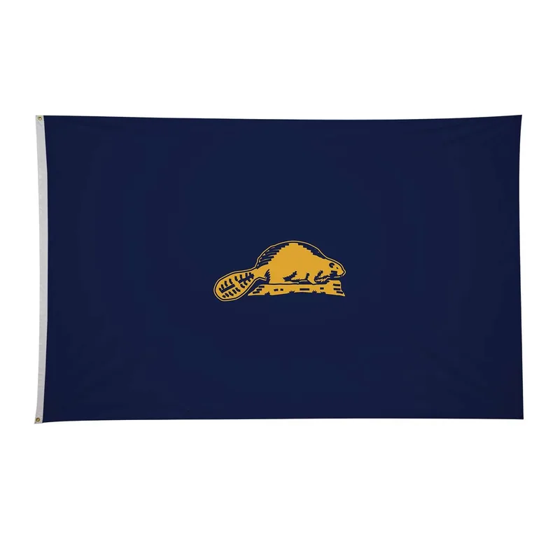 5' x 8' Oregon State Flag Double-Sided view 3