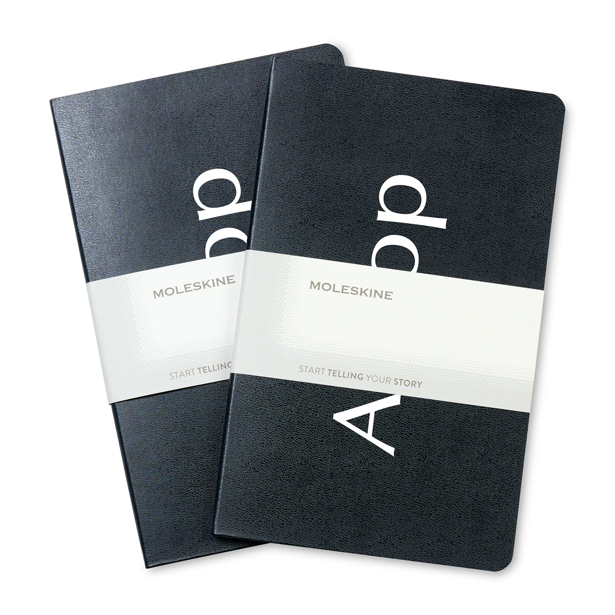 Moleskine® Large Volant 2-Pack - Black