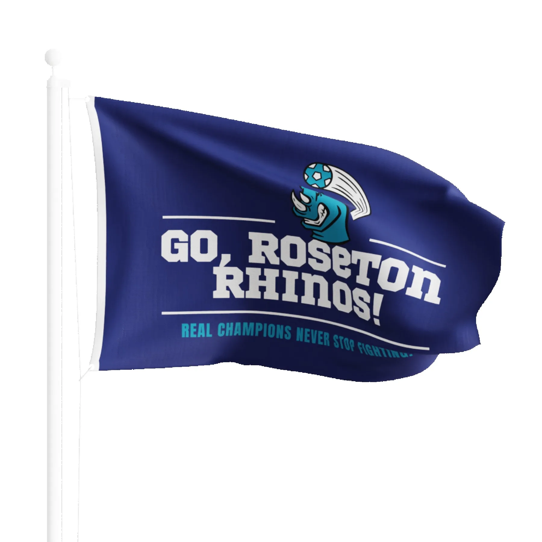 Large Full Color Flag (Domestically Decorated) 24" x 36" view 2