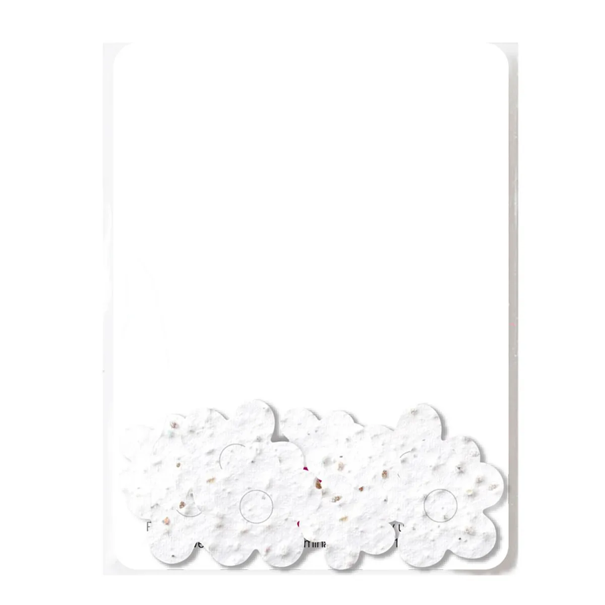 Bloomin® Seed Paper Confetti Gift Pack view 3