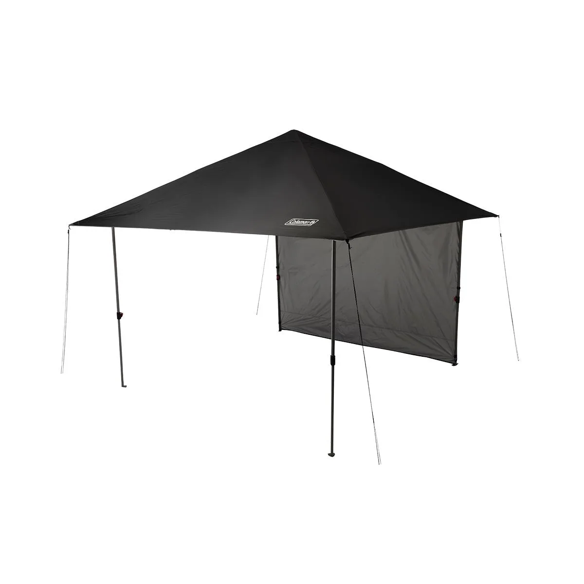 Newell Brands Distribution LLC Coleman 10' X 10' Oasis™ Lite Canopy w/Sun Wall