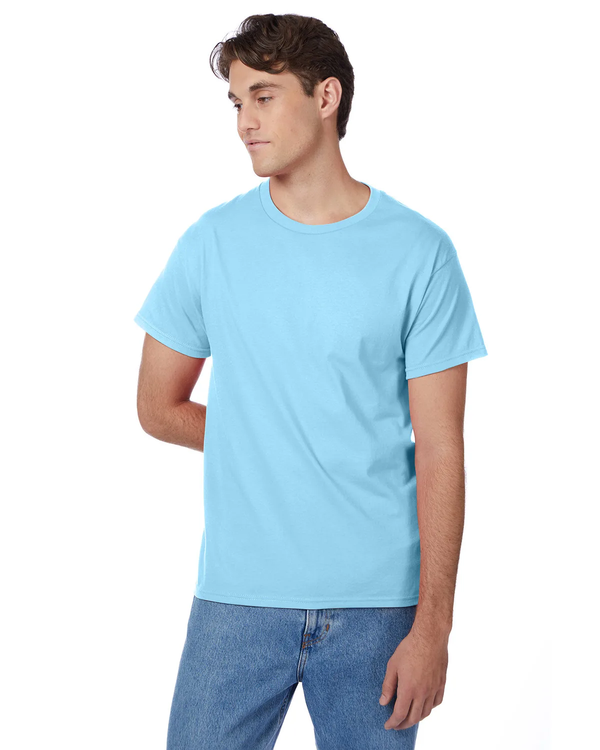 Hanes Printables Men's Authentic-T T-Shirt