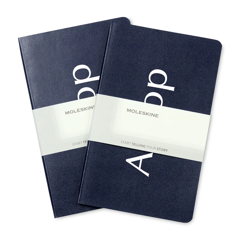 Moleskine® Large Volant 2-Pack - Navy Blue