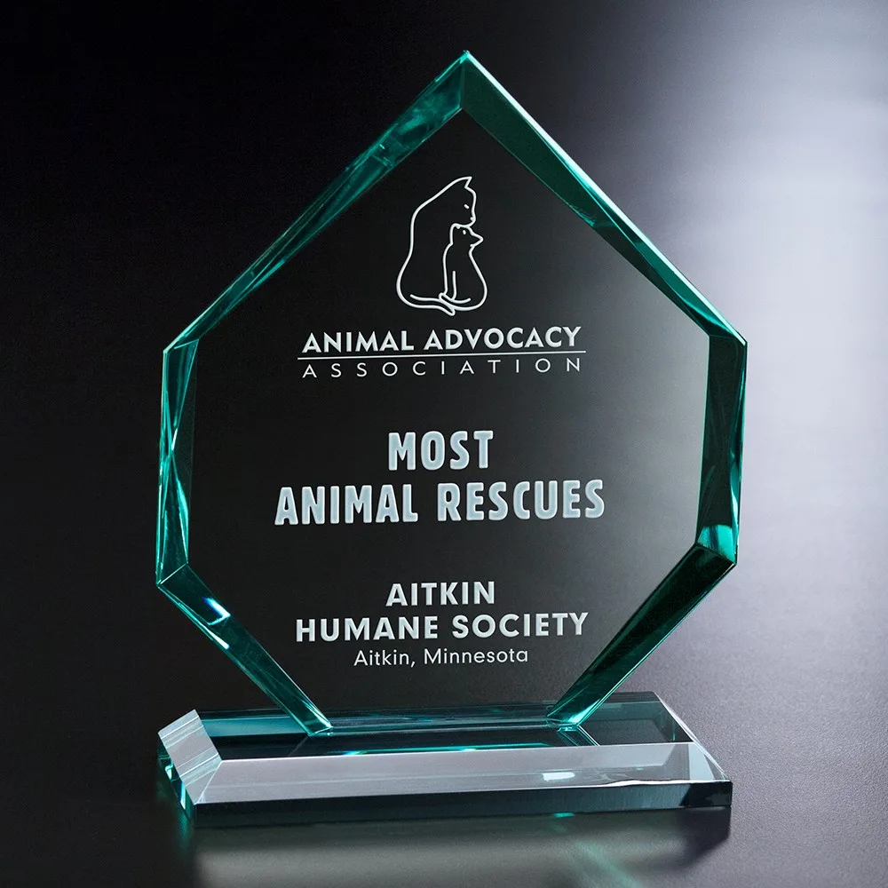 Titan Award 6-1/2"