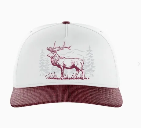 Waggle Yukon Corduroy Brim Hat view 2