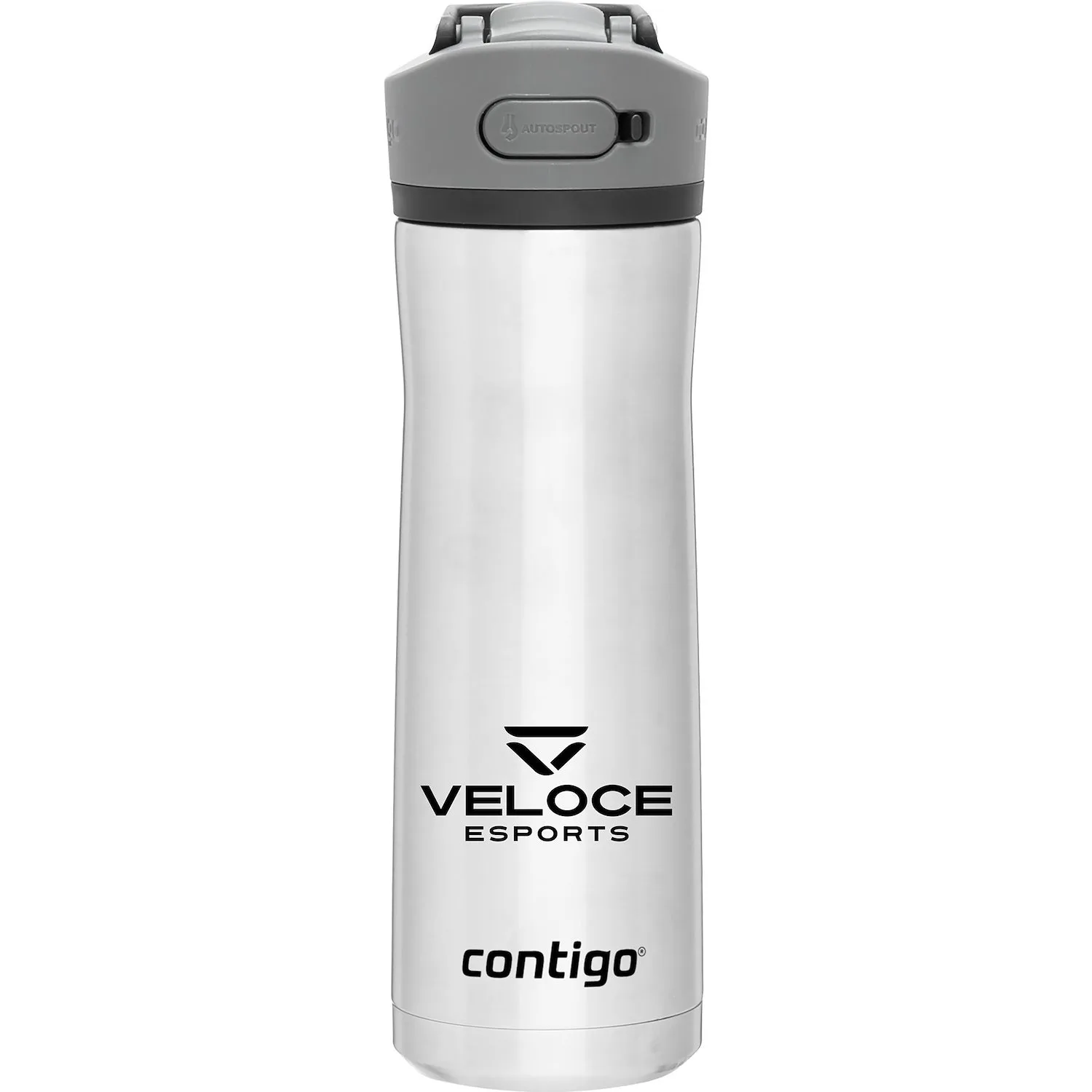 20 oz Contigo Ashland Chill 2.0 Water Bottle (Stainless)