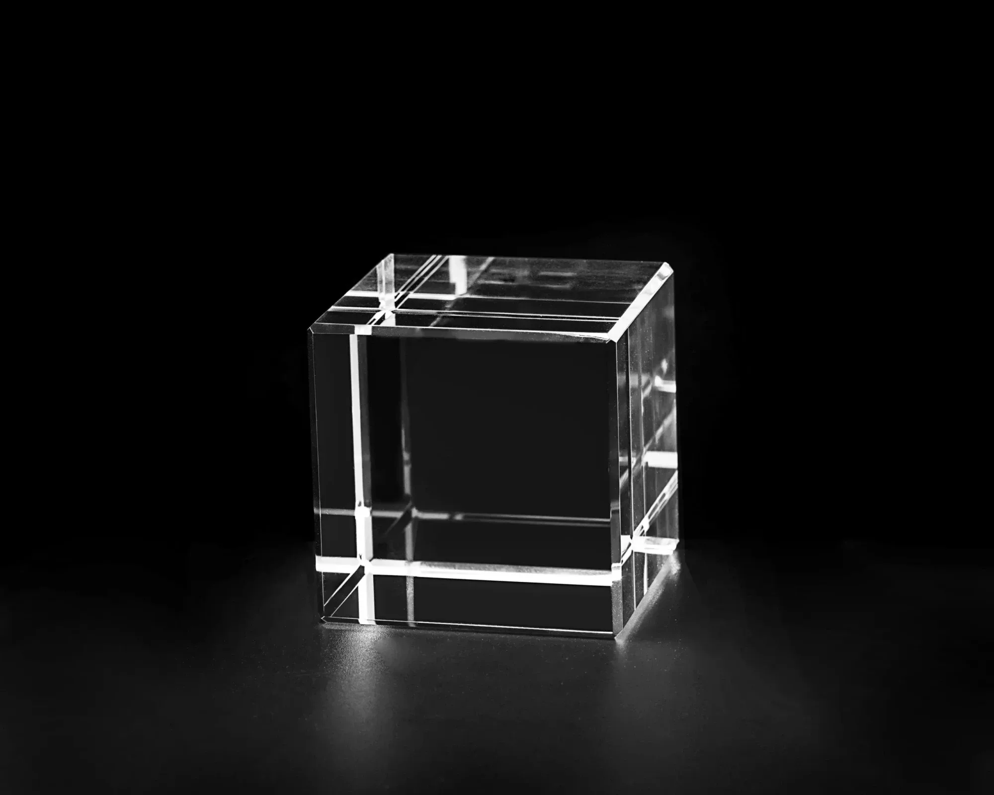 Amira Cube view 2