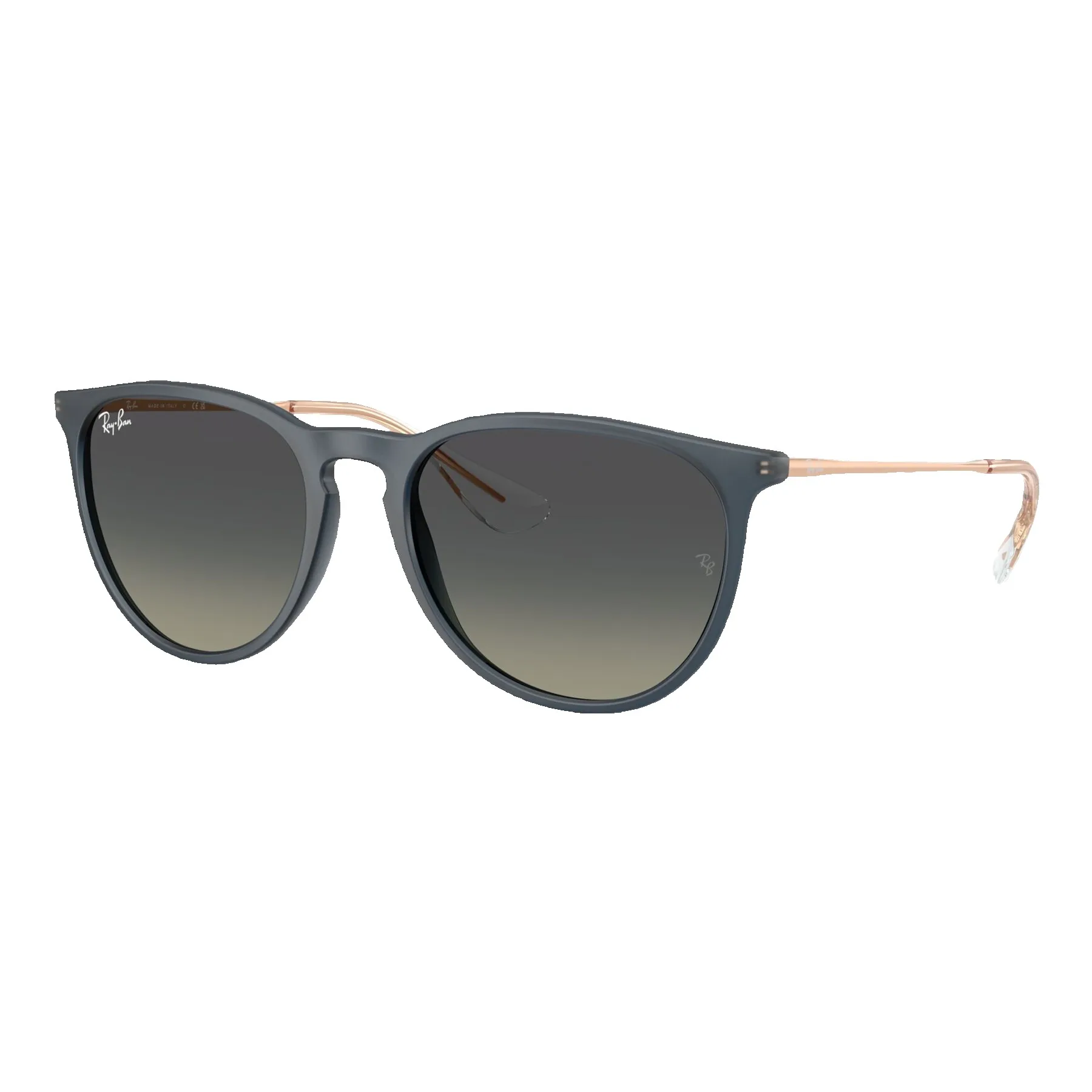 Ray-Ban Women's Erika Classic Sunglasses
