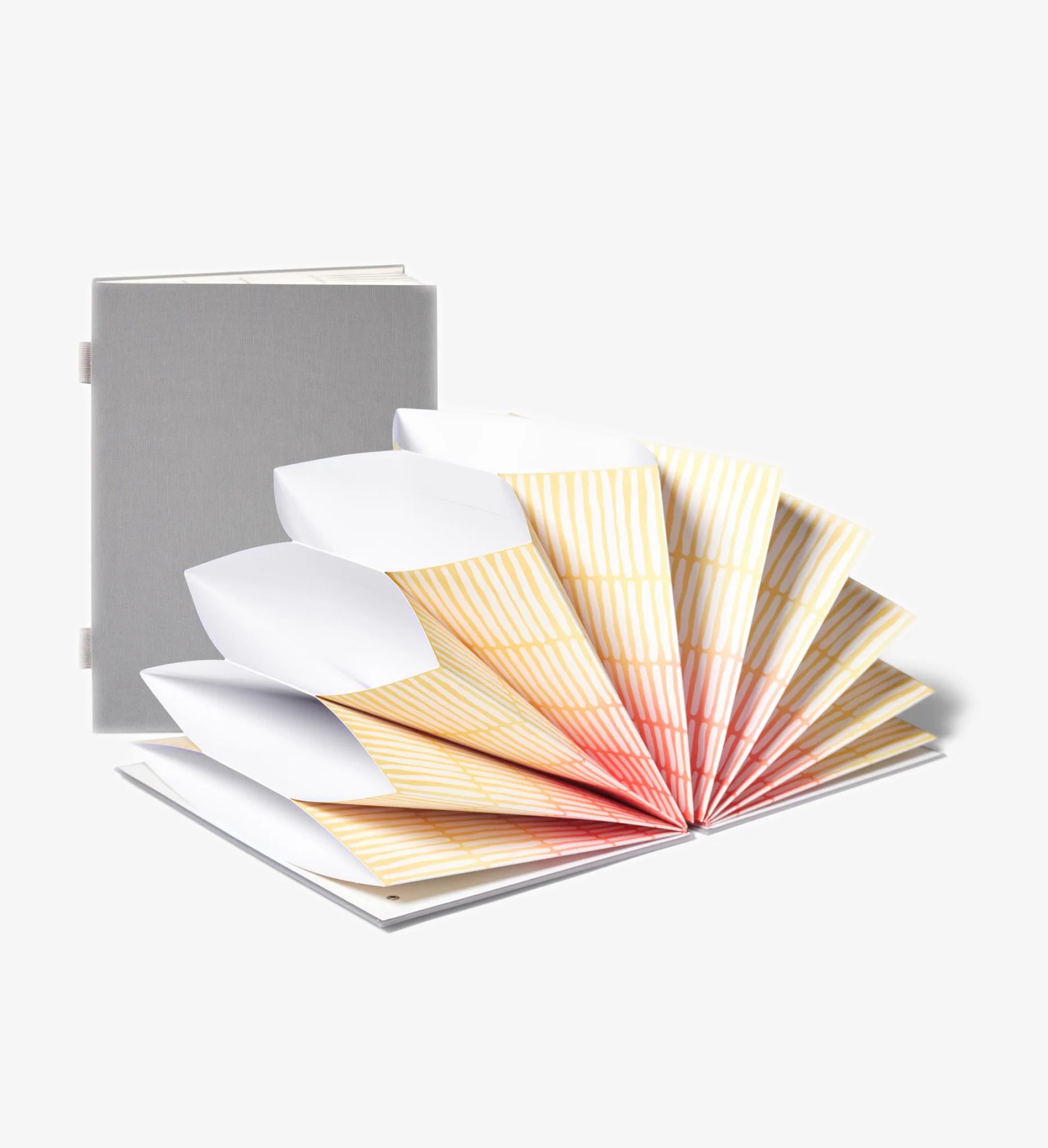 Savor Fan Folio Document Organizer - Slate Exterior, Colorful Interior