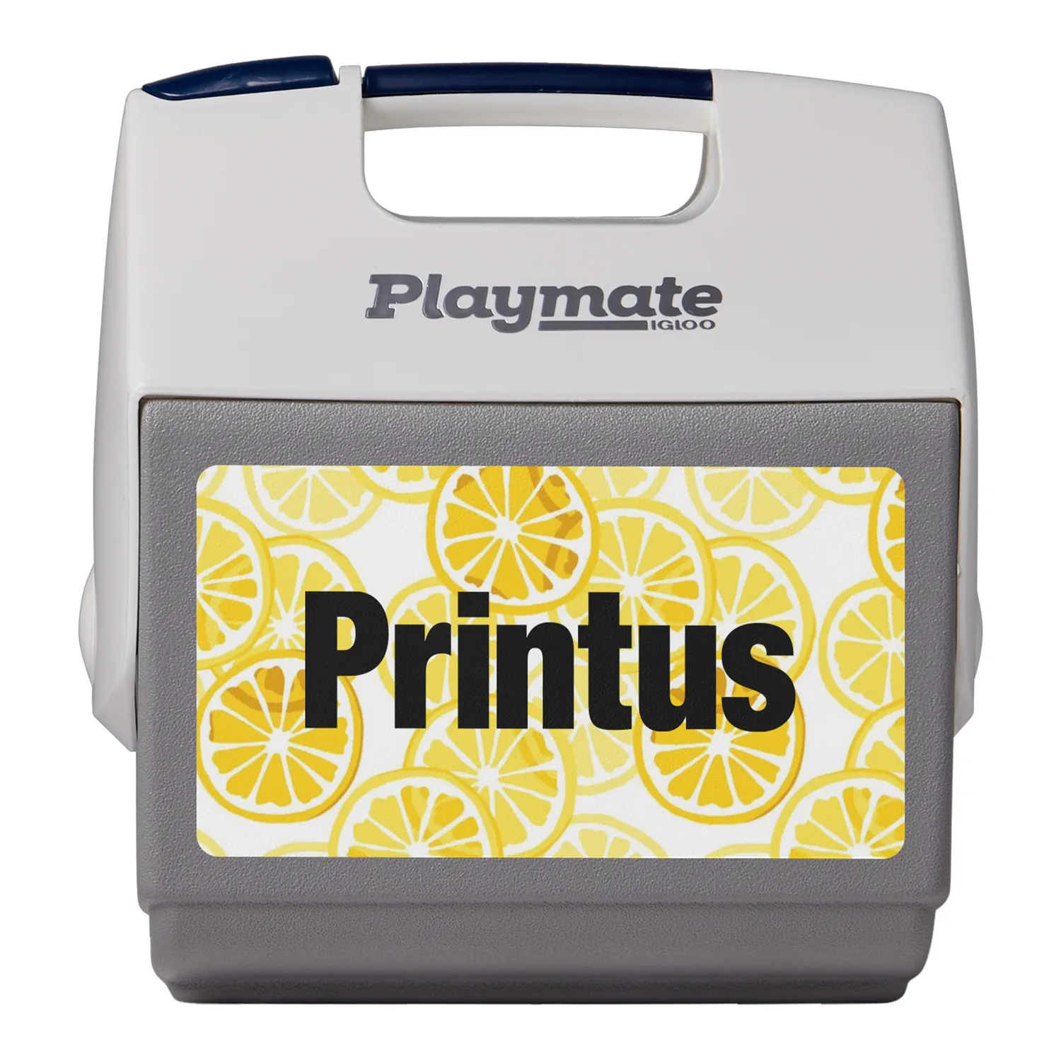 Igloo Maxcold Playmate Elite 16 Qt Cooler view 3