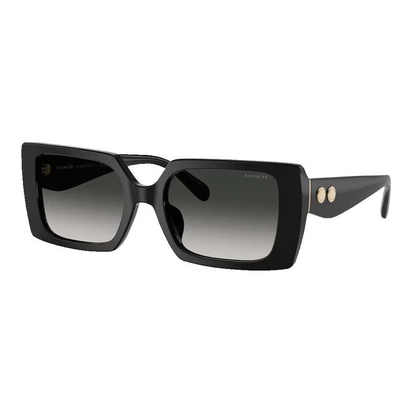 Coach Women's Rogue Oversized Square Sunglasses