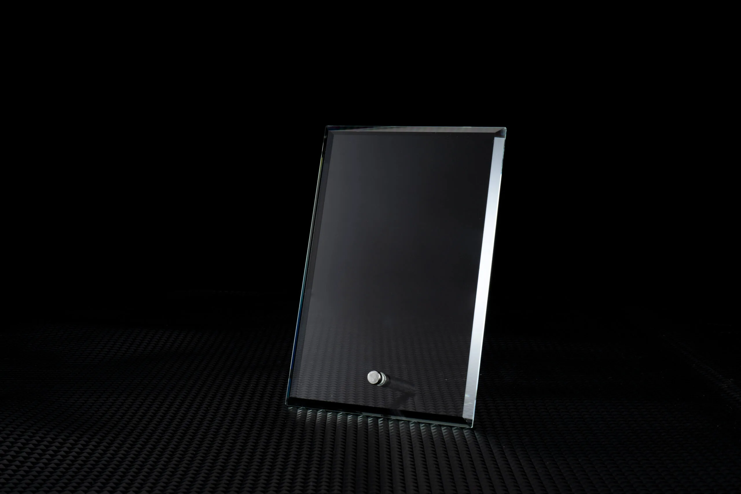 Aurora Portrait Award