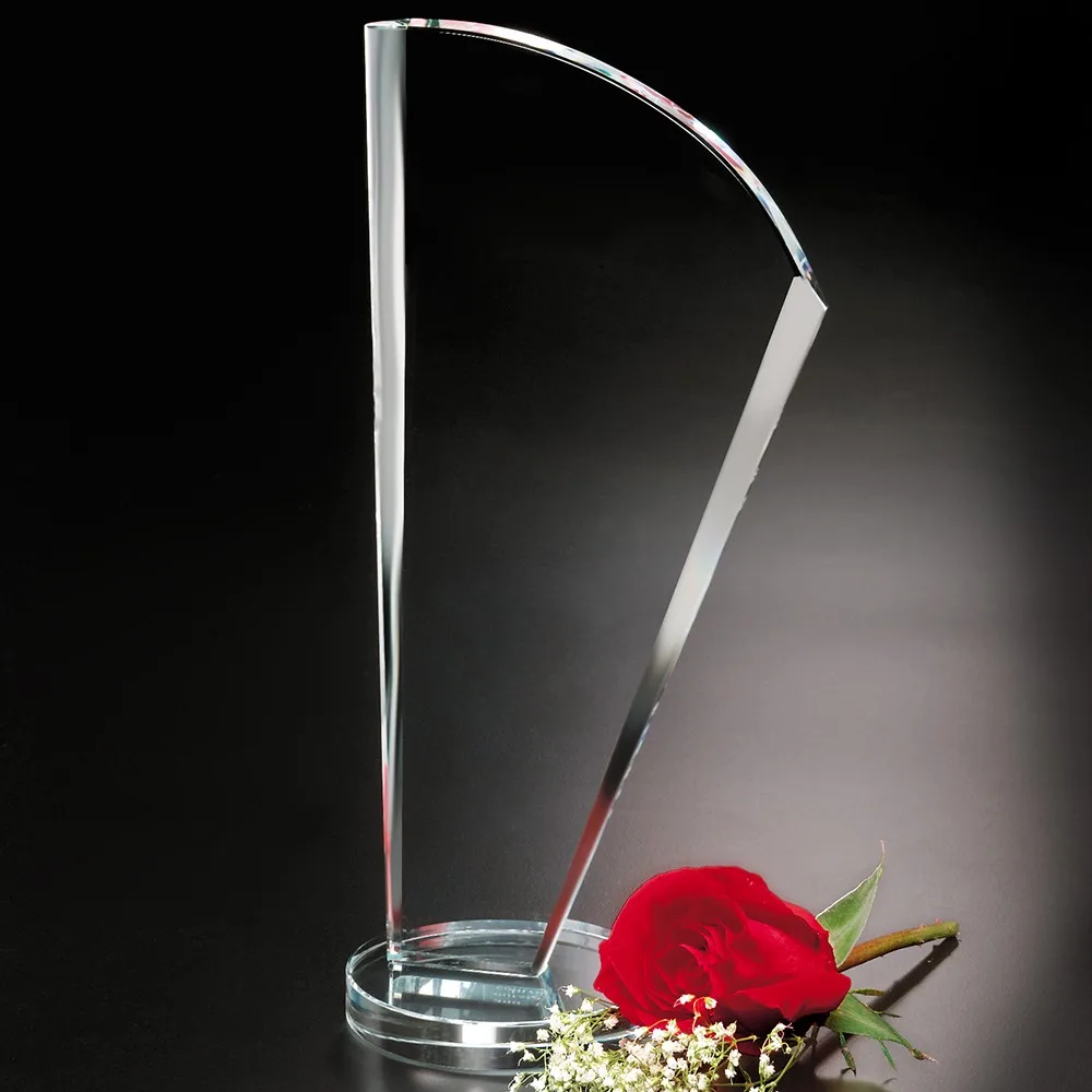 Merit Award 10-1/4" view 2